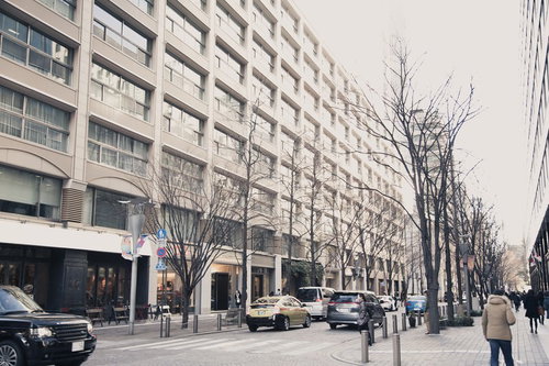 冬の葉のない街路樹と車が走るオフィスビルが並ぶ丸の内の大通り