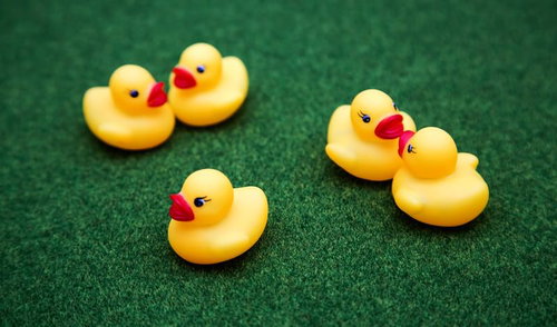 緑の布の上でペアになったアヒルのおもちゃ5羽