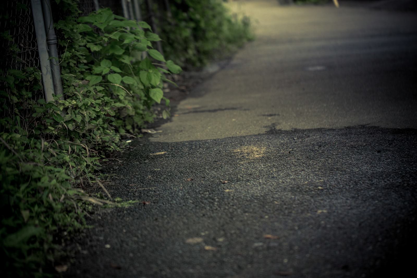 雨で濡れた工場裏の薄暗い路地