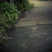 雨水が流れる薄暗い工場裏の路地 湿ったアスファルトの写真