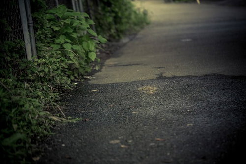 雨水が流れる薄暗い工場裏の路地 湿ったアスファルト