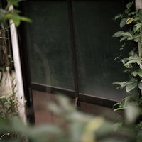 長い時間扉が閉まったままの古い民家 苔と蔦に覆われた廃墟の写真