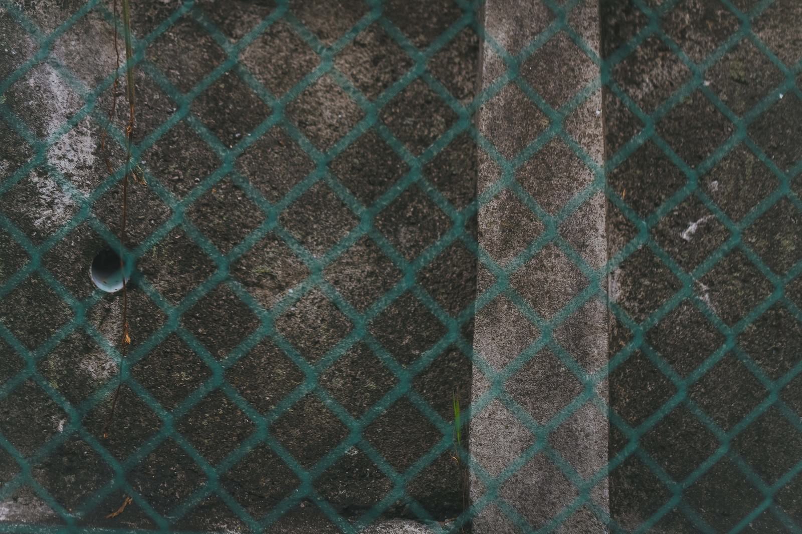錆びた緑色のフェンスとグレーのコンクリート壁が重なる写真