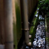 廃工場横の苔むした排水溝と汚水の流れ、雑草が生い茂る不気味な環境の写真