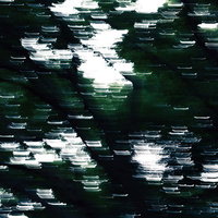 蠢く森のダークなグリッチ表現デジタルノイズ効果の写真