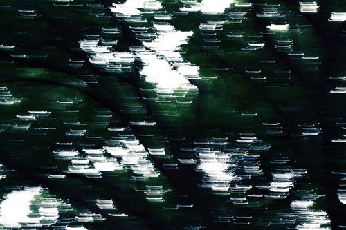 蠢く森のダークなグリッチ表現デジタルノイズ効果の写真