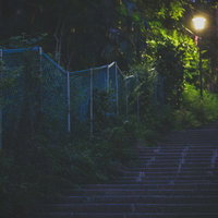 夜の暗い階段と街灯、つる性植物と手すりのある夜道の写真