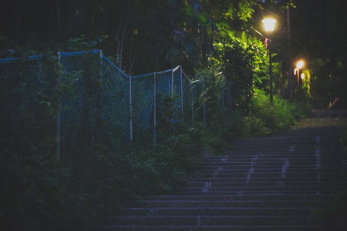 夜の暗い階段と街灯、つる性植物と手すりのある夜道