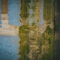 塗装が剥がれ落ち苔が生える不気味な古い壁のテクスチャーの写真