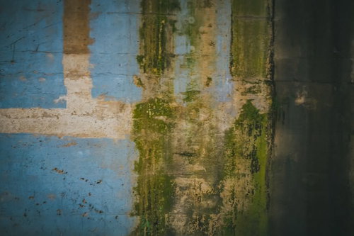 塗装が剥がれ落ち苔が生える不気味な古い壁のテクスチャーの写真
