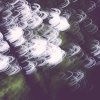 ざわつく森の不気味な光景 暗い樹木と心霊現象の写真