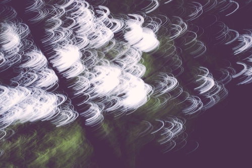 ざわつく森の不気味な光景 暗い樹木と心霊現象の写真