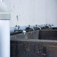 校舎裏の水飲み場と並んだ蛇口の写真