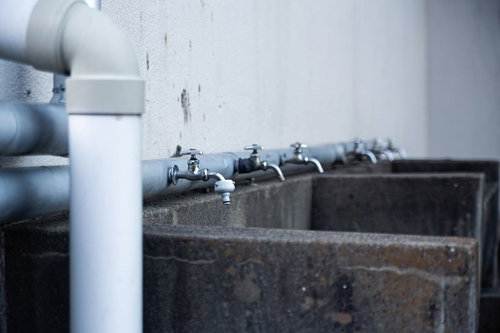 校舎裏の水飲み場と並んだ蛇口