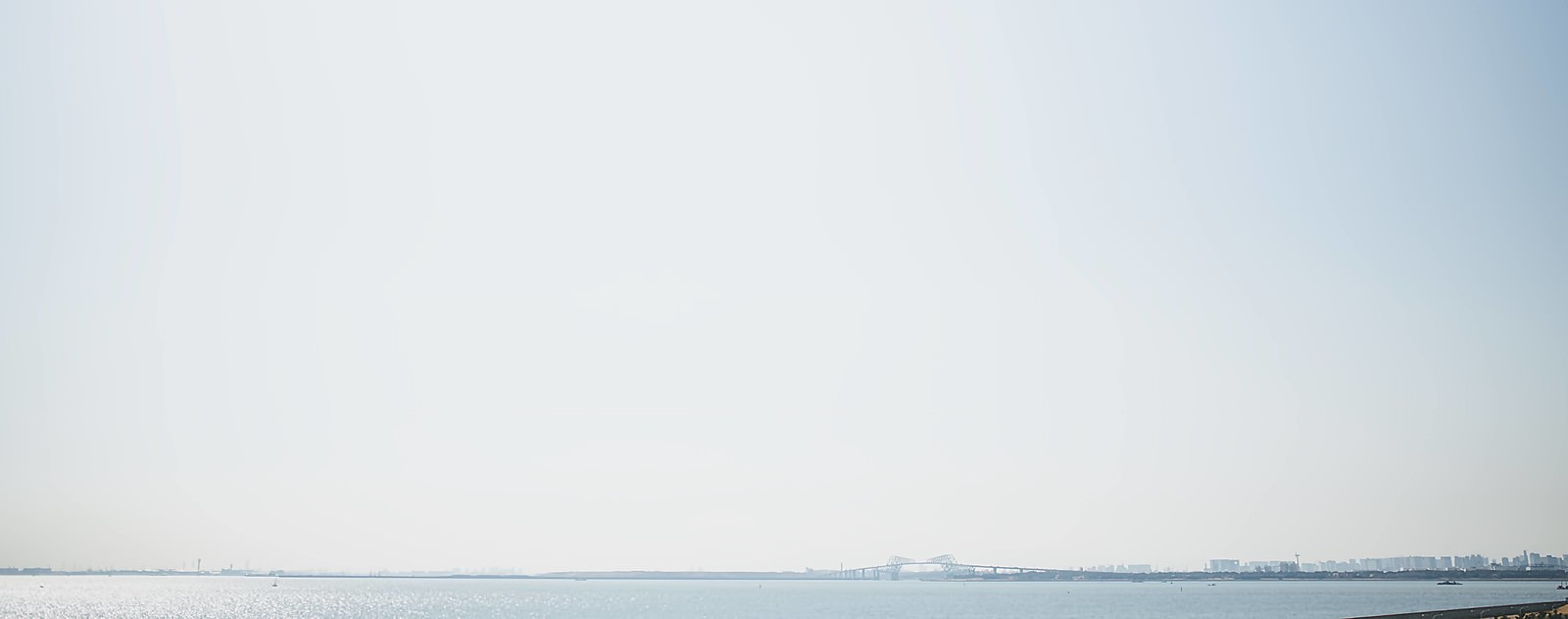 穏やかな海の水平線の向こうに見える東京ゲートブリッジ