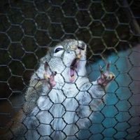 「アッー！」の写真