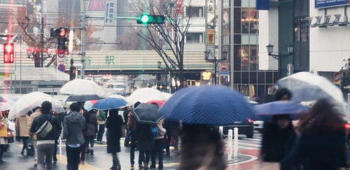 雨の日に多色の傘をさして横断歩道を渡る渋谷の大勢の人々