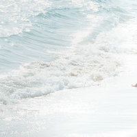 押し寄せる波に引き寄せられるカップルが浜辺で寄り添うの写真