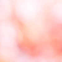 明るく柔らかい光の中でぼけた花の形が浮かぶ淡いピンクの抽象写真の写真