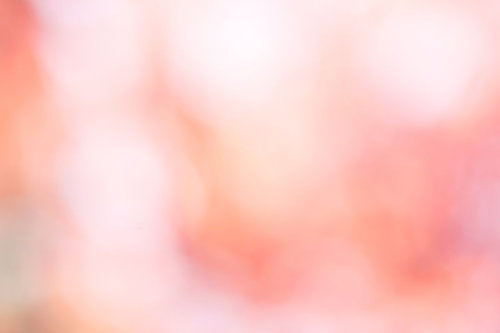 明るく柔らかい光の中でぼけた花の形が浮かぶ淡いピンクの抽象写真