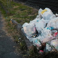 河川敷に大量に不法投棄されたゴミとビニール袋の写真
