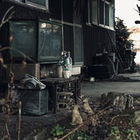 錆びた台や散らかった物が置かれた廃屋の庭の写真