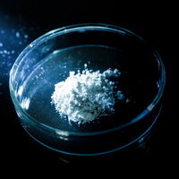 疑惑の白い粉が入ったシャーレ（小麦粉）の危険ドラッグ疑いの写真