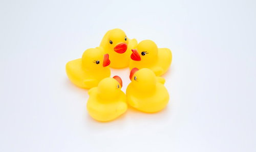 白い平面で円陣を組む6羽のあひるちゃん