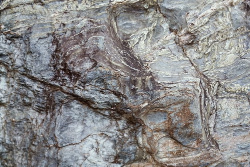灰色と茶色が混じりひび割れた樹皮のテクスチャー
