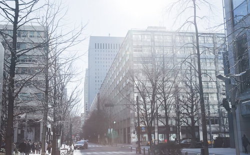 白く霞んだ空の下に葉が落ちた街路樹と高層ビルが並ぶ冬の都心