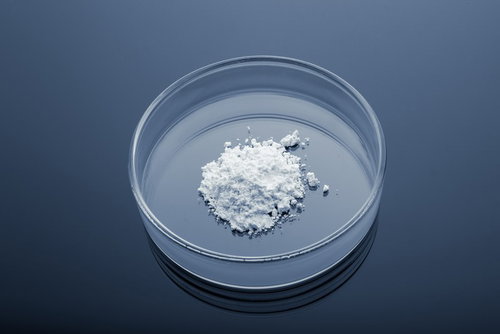 自宅から押収された小麦粉をシャーレに入れた状態