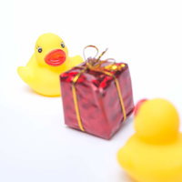アヒルのおもちゃ2羽と赤いプレゼント箱の写真