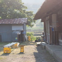 古民家の庭先に置かれた黄色い箱と籠の写真
