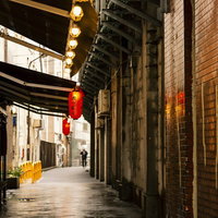 赤い提灯が灯る夜の高架下の飲み屋街の写真