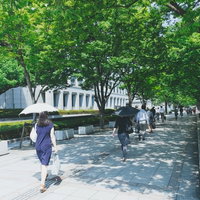 街路樹が並ぶ歩道を歩く出勤する人たちの朝の風景の写真