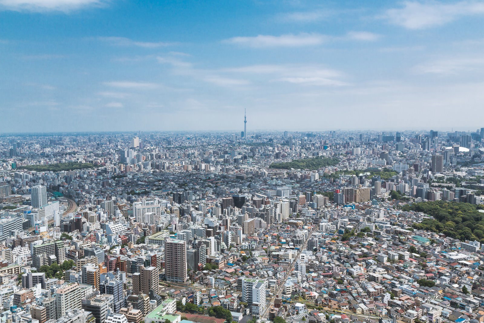 サンシャインシティから見た東京スカイツリーと高層ビル群、昼間の街並み