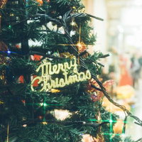 クリスマスツリーと賑わいの写真