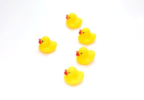 デザートランス陣形で並ぶあひるちゃん