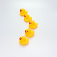 フリーファイト陣形で並ぶあひるちゃんの写真