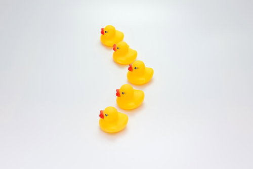 フリーファイト陣形で並ぶあひるちゃん