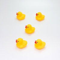 鳳天舞の陣で円形に並ぶあひるちゃんの写真