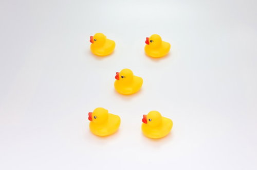 鳳天舞の陣で円形に並ぶあひるちゃん