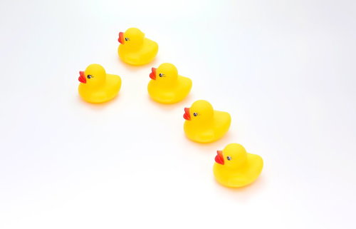 龍陣フォーメーションで並ぶあひるちゃん