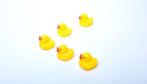 あひるちゃん陣形「アマゾンストライク」