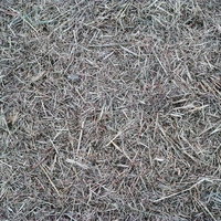 刈り取られた雑草と枯れた芝の地面テクスチャーの写真