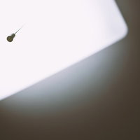 天井の街灯から垂れ下がった引きヒモの照明器具の写真