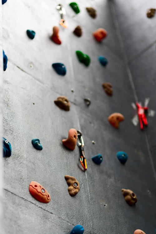カラフルなホールドが並ぶボルダリング壁