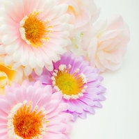 白背景に並ぶ淡いピンクと紫の造花の写真