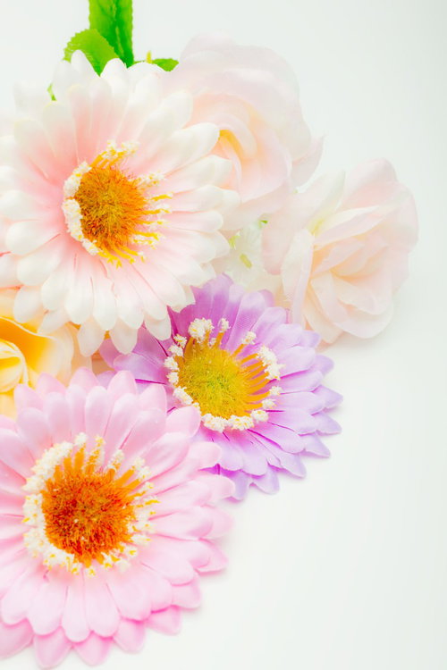 白背景に並ぶ淡いピンクと紫の造花