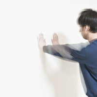 白虎双掌ドンの写真